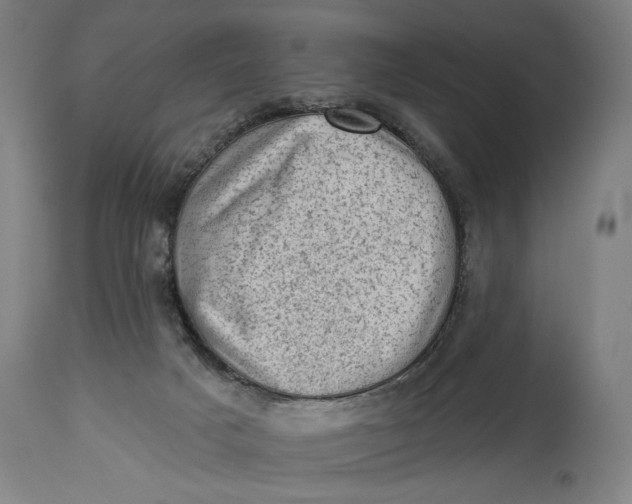 X0000114530025200911091120