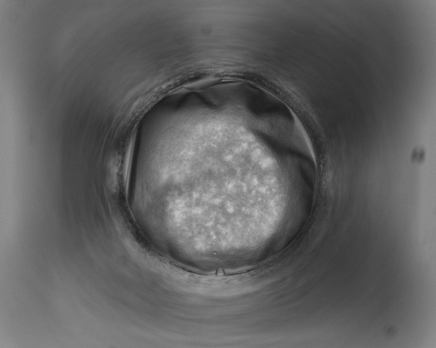 X0000114530026200911091120
