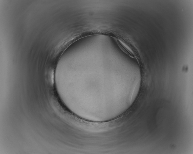 X0000114530027200911091120