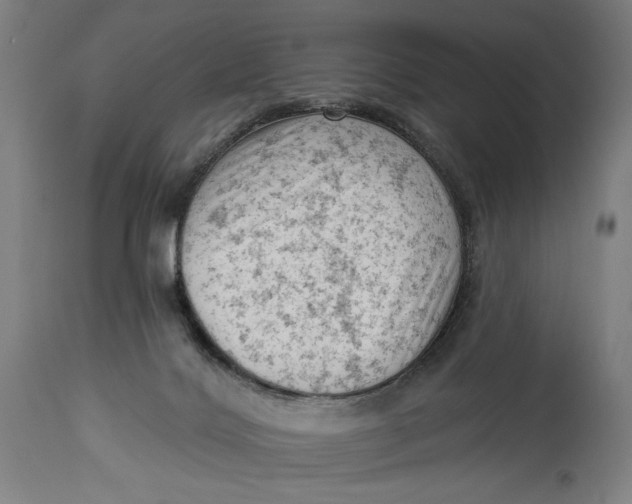 X0000114530028200911091120