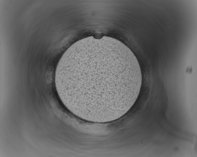 X0000114530032200911091120