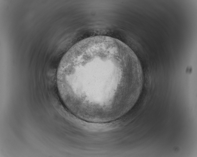 X0000114530034200911091120