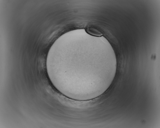 X0000114530035200911091120