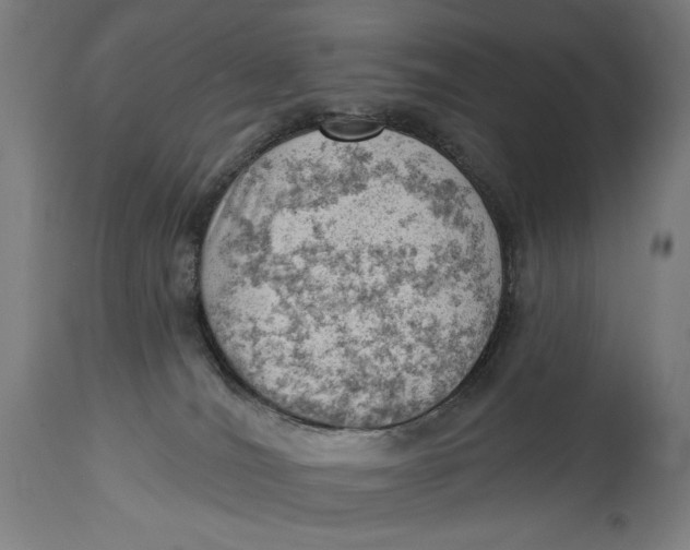 X0000114530036200911091120