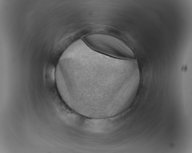X0000114530041200911091120