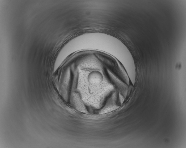 X0000114530045200911091120