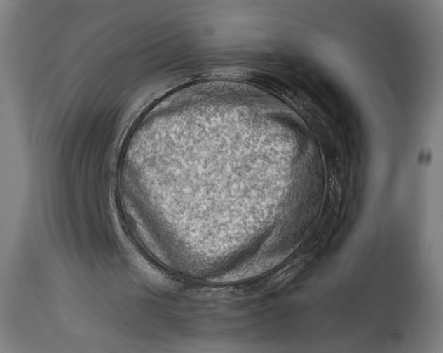X0000114530049200911091119