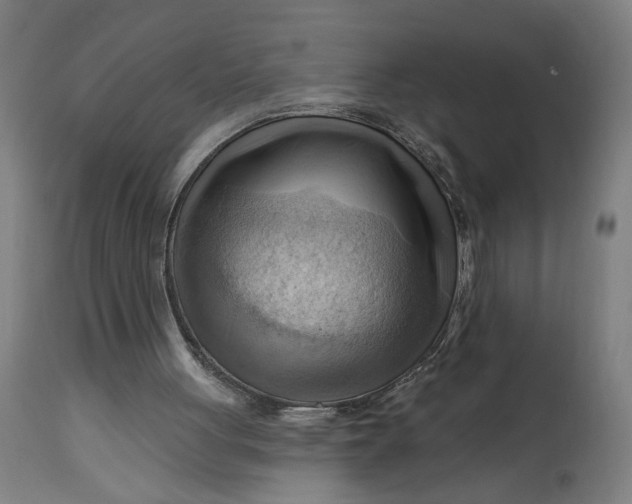 X0000114530051200911091119