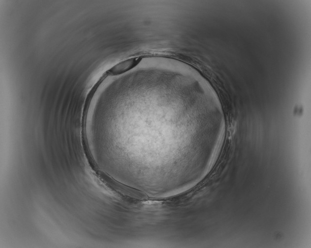 X0000114530052200911091119