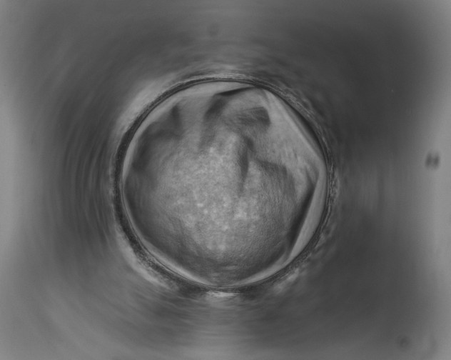 X0000114530055200911091120