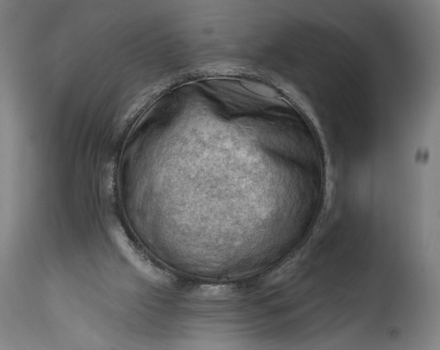 X0000114530057200911091120