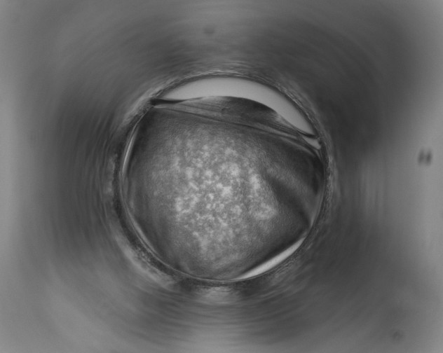 X0000114530058200911091120