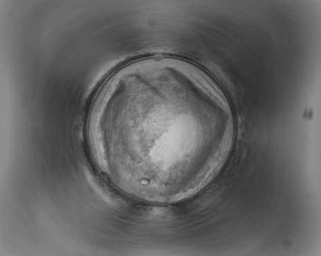 X0000114530060200911091120