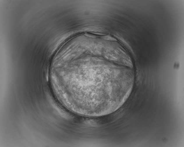 X0000114530062200911091120