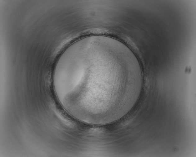 X0000114530063200911091120