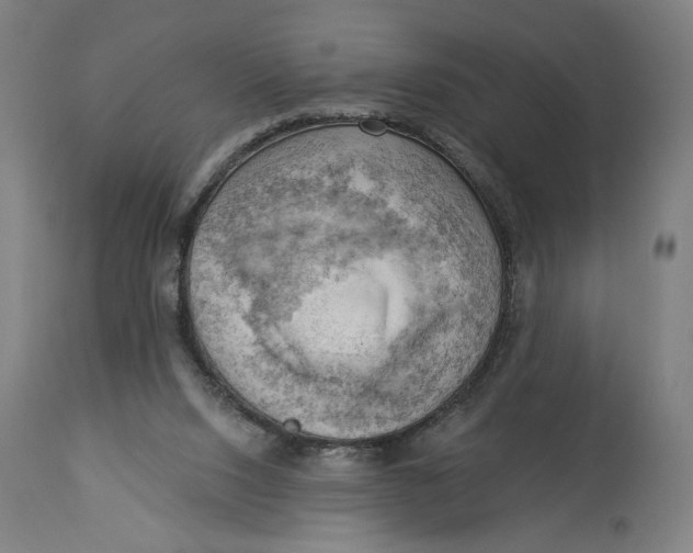 X0000114530064200911091120