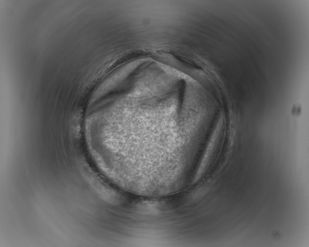 X0000114530065200911091120
