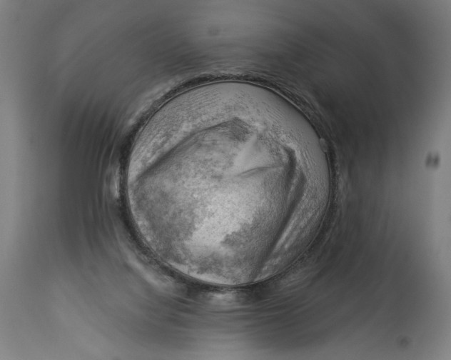 X0000114530068200911091120