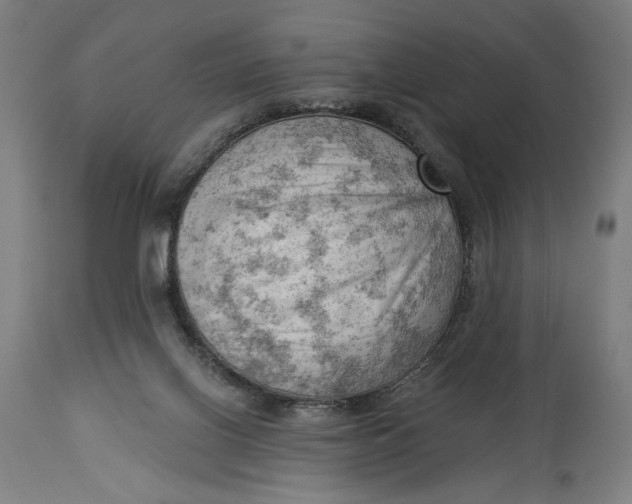 X0000114530070200911091120