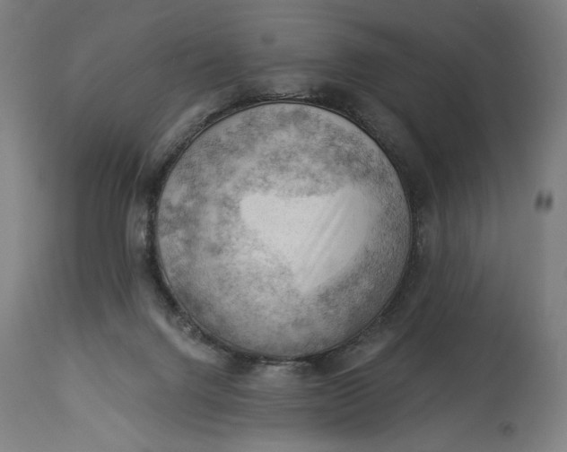 X0000114530072200911091120