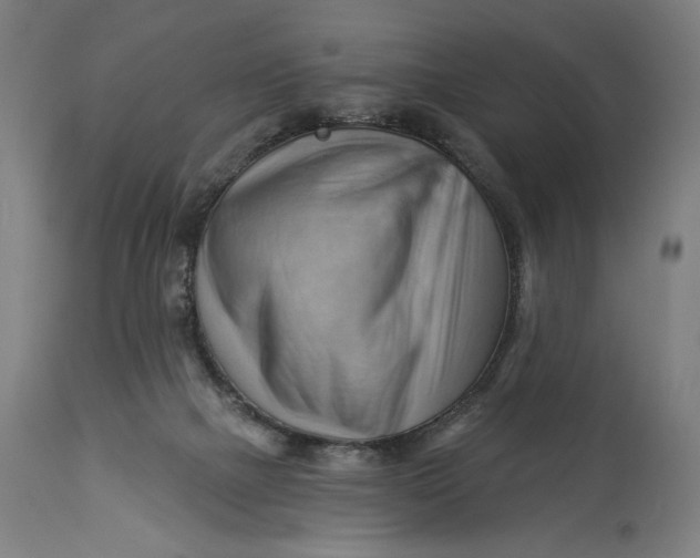 X0000114530073200911091120
