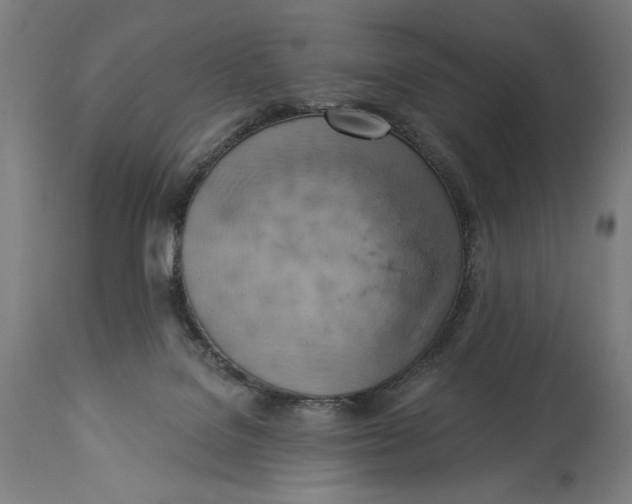 X0000114530076200911091120