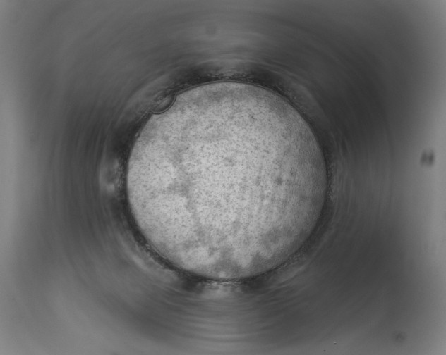 X0000114530077200911091120