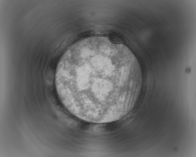 X0000114530078200911091120