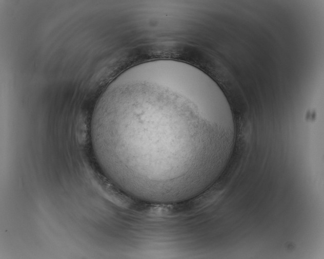 X0000114530080200911091120