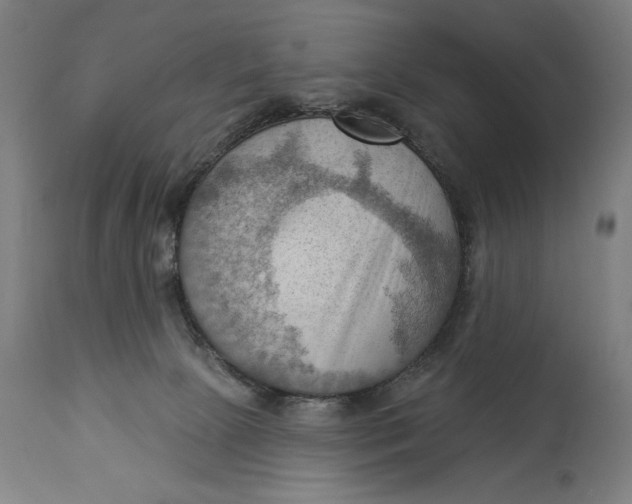 X0000114530081200911091120
