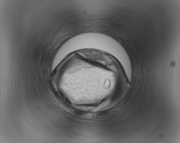 X0000114530084200911091120