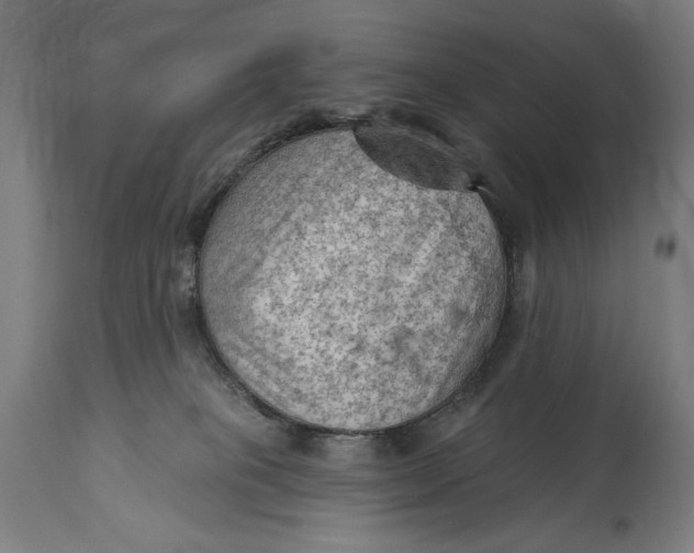 X0000114530085200911091120