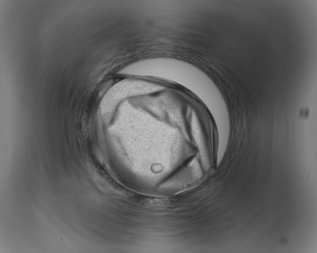 X0000114530088200911091120