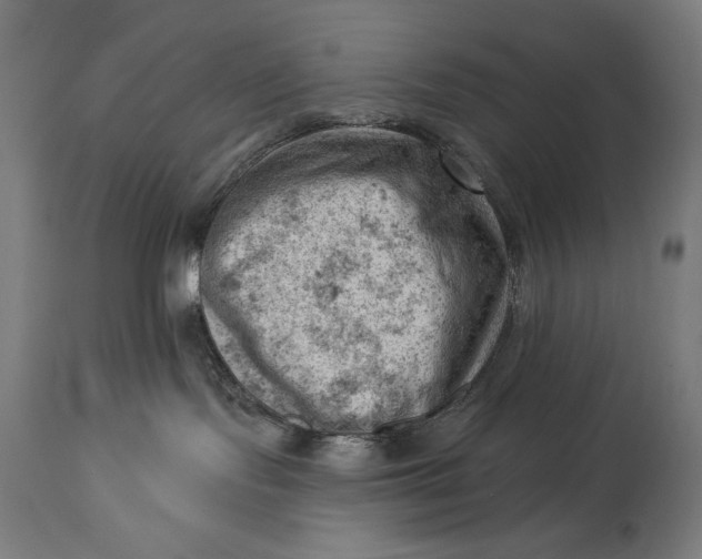 X0000114530095200911091120