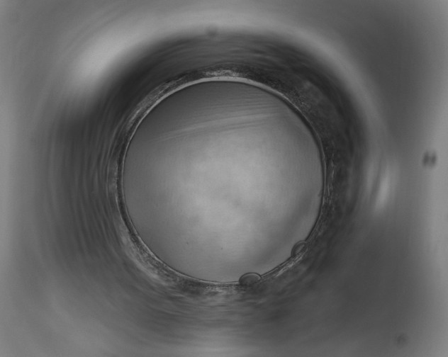 X0000114530099200911091119