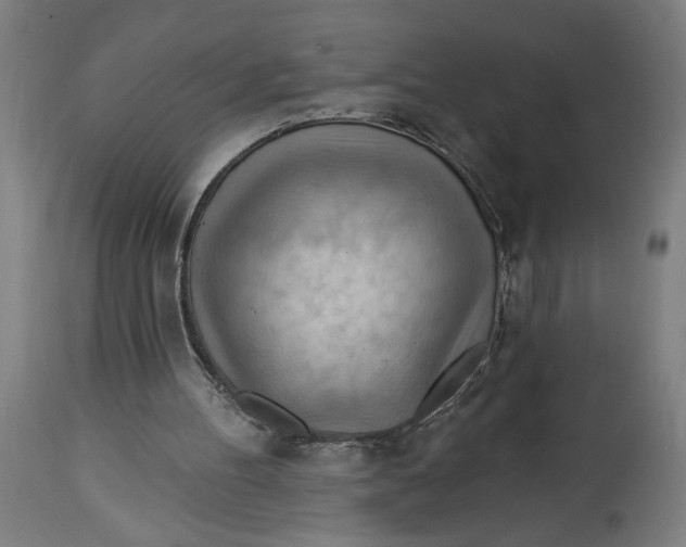 X0000114530100200911091119