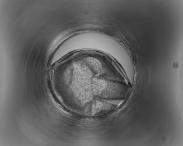 X0000114530101200911091119