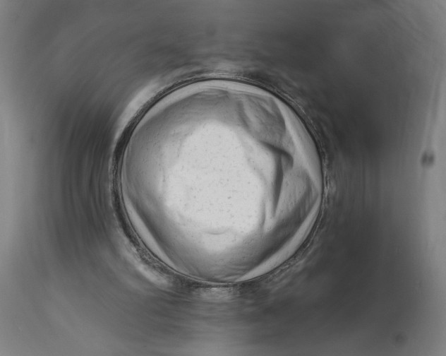X0000114530102200911091119