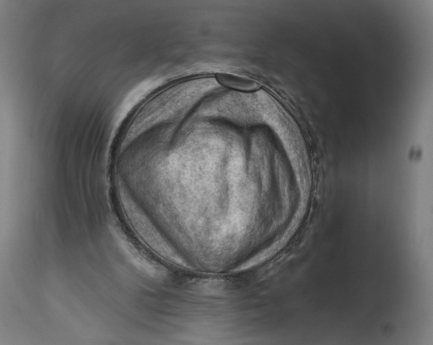 X0000114530104200911091119
