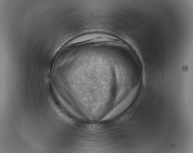 X0000114530105200911091119
