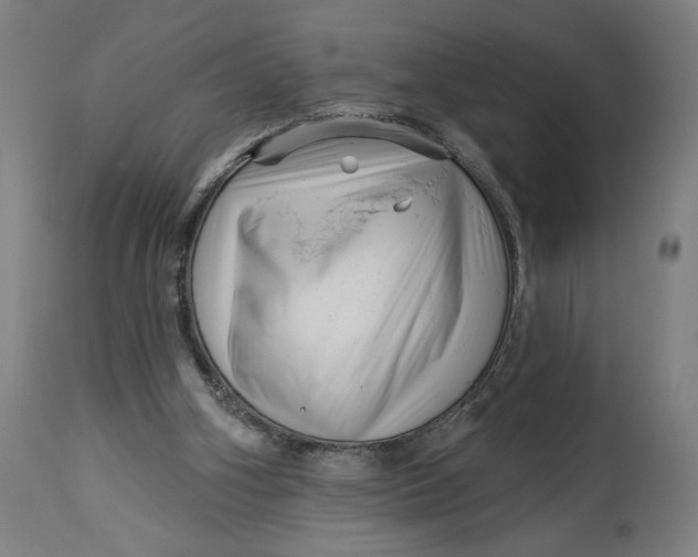 X0000114530106200911091119