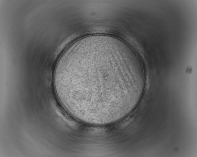 X0000114530107200911091119