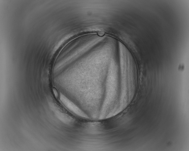 X0000114530108200911091119