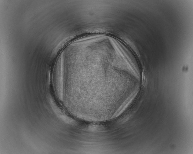 X0000114530109200911091119