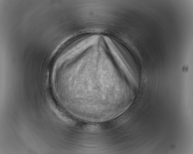X0000114530110200911091119