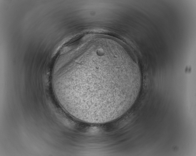 X0000114530111200911091119