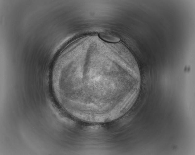 X0000114530112200911091119