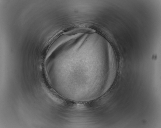 X0000114530114200911091119