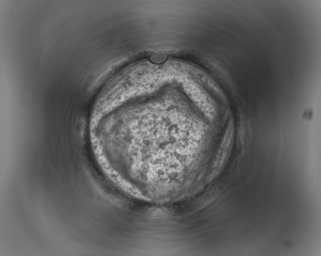 X0000114530115200911091119