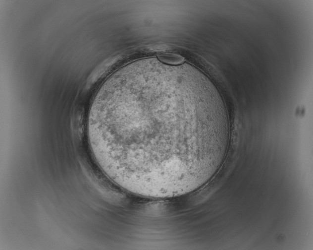 X0000114530116200911091119